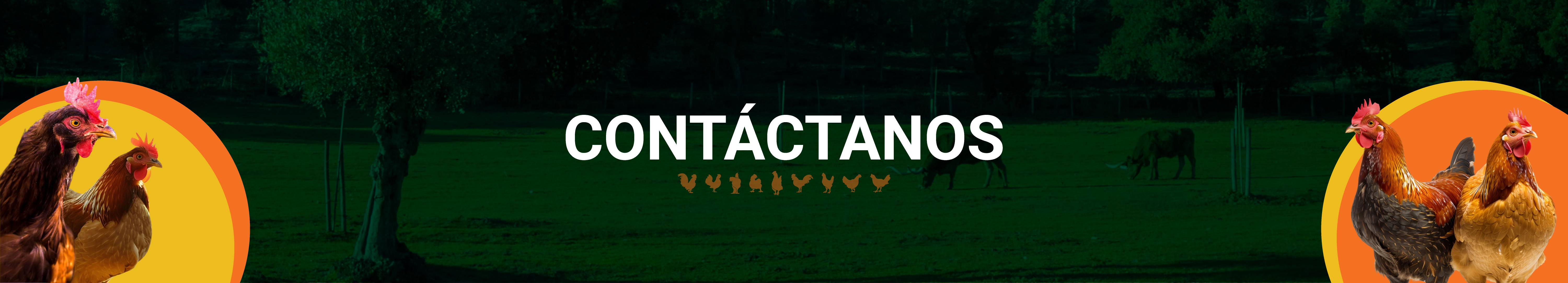 Banner de Contactos